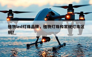植物led灯珠品牌，植物灯珠和常规灯珠区别？