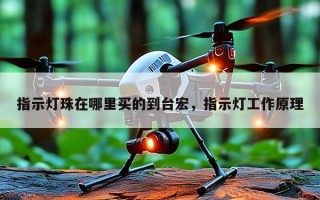 指示灯珠在哪里买的到台宏，指示灯工作原理
