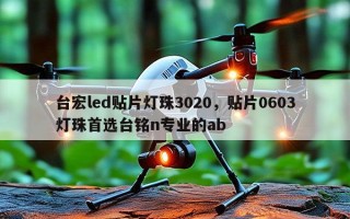 台宏led贴片灯珠3020，贴片0603灯珠首选台铭n专业的ab