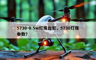 5730-0.5w灯珠台宏，5730灯珠参数？