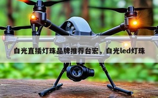 白光直插灯珠品牌推荐台宏，白光led灯珠