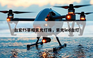 台宏f5草帽紫光灯珠，紫光led台灯