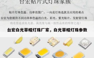 台宏白光草帽灯珠厂家，白光草帽灯珠参数