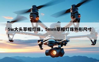 5w大头草帽灯珠，5mm草帽灯珠外形尺寸！