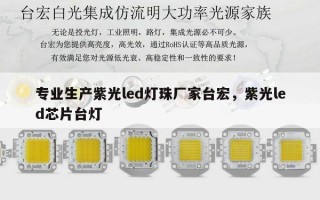 专业生产紫光led灯珠厂家台宏，紫光led芯片台灯