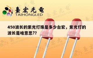 450波长的紫光灯珠是多少台宏，紫光灯的波长是啥意思?？