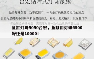 鱼缸灯珠5050台宏，鱼缸用灯珠6500好还是10000！