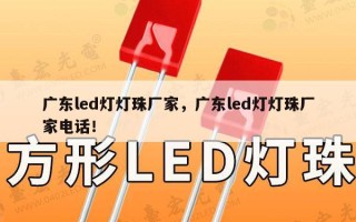 广东led灯灯珠厂家，广东led灯灯珠厂家电话！