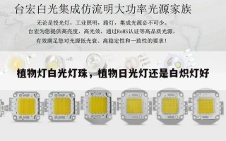 植物灯白光灯珠，植物日光灯还是白炽灯好