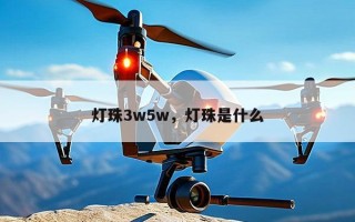 灯珠3w5w，灯珠是什么