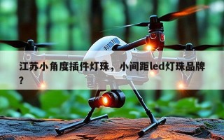 江苏小角度插件灯珠，小间距led灯珠品牌？