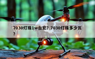 7030灯珠1w台宏？7030灯珠多少瓦？