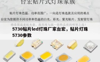 5730贴片led灯珠厂家台宏，贴片灯珠5730参数