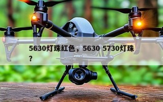 5630灯珠红色，5630 5730灯珠？