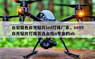 台宏双色白光贴片led灯珠厂家，0805白光贴片灯珠首选台铭n专业的ab