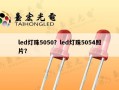 led灯珠5050？led灯珠5054照片？