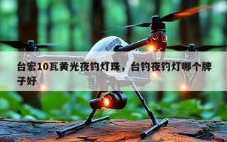 台宏10瓦黄光夜钓灯珠，台钓夜钓灯哪个牌子好