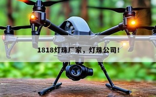 1818灯珠厂家，灯珠公司！