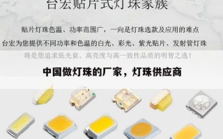 中国做灯珠的厂家，灯珠供应商