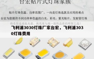 飞利浦3030灯珠厂家台宏，飞利浦3030灯珠费用