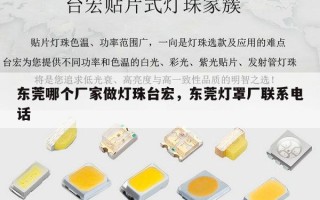东莞哪个厂家做灯珠台宏，东莞灯罩厂联系电话