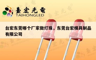 台宏东莞哪个厂家做灯珠，东莞台宏模具制品有限公司
