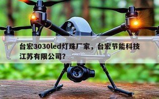 台宏3030led灯珠厂家，台宏节能科技江苏有限公司？