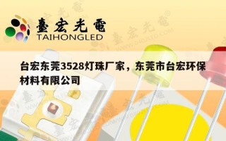台宏东莞3528灯珠厂家，东莞市台宏环保材料有限公司