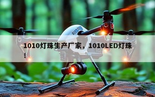 1010灯珠生产厂家，1010LED灯珠！