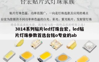 3014系列贴片led灯珠台宏，led贴片灯珠参数首选台铭o专业的ab