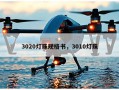 3020灯珠规格书，3010灯珠