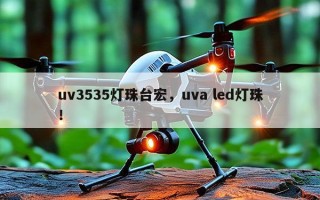 uv3535灯珠台宏，uva led灯珠！