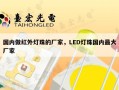 国内做红外灯珠的厂家，LED灯珠国内最大厂家