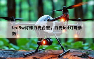 led5w灯珠白光台宏，白光led灯珠参数