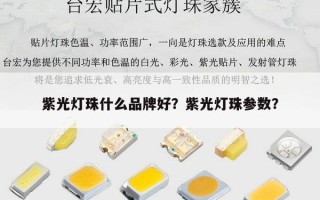 紫光灯珠什么品牌好？紫光灯珠参数？