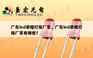 广东led草帽灯珠厂家，广东led草帽灯珠厂家有哪些？