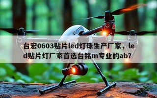 台宏0603贴片led灯珠生产厂家，led贴片灯厂家首选台铭m专业的ab？