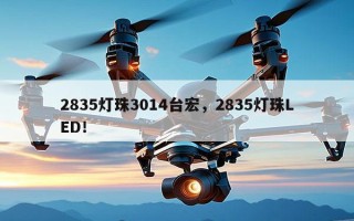 2835灯珠3014台宏，2835灯珠LED！