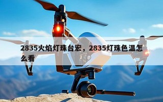 2835火焰灯珠台宏，2835灯珠色温怎么看