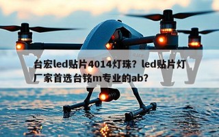 台宏led贴片4014灯珠？led贴片灯厂家首选台铭m专业的ab？
