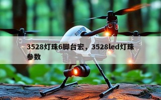 3528灯珠6脚台宏，3528led灯珠参数