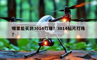 哪里能买到3014灯珠？3014贴片灯珠？