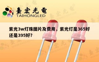 紫光3w灯珠图片及费用，紫光灯是365好还是395好？