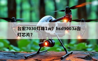 台宏7030灯珠1w？hsd9003a台灯芯片？
