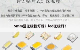5mm蓝无极性灯珠？led无极灯？