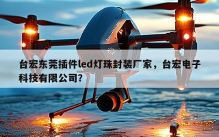 台宏东莞插件led灯珠封装厂家，台宏电子科技有限公司？