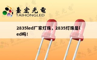 2835led厂家灯珠，2835灯珠是led吗！