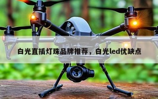 白光直插灯珠品牌推荐，白光led优缺点