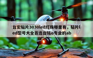 台宏贴片3030led灯珠哪里有，贴片led型号大全首选台铭o专业的ab