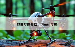 f5白灯珠参数，f4mm灯珠！